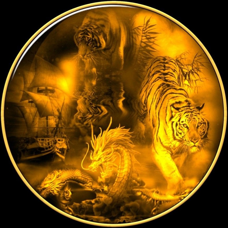 Rồng hổ 2025 tại shbet